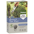Pokon buxus & ilex mest 2,5kg