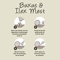 Pokon buxus & ilex mest 2,5kg