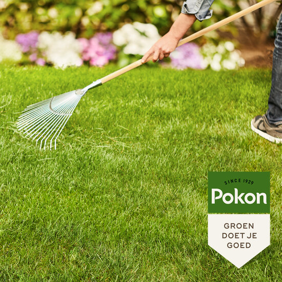 Pokon gazonmest met kalk 3-in-1 voor 75m² 5kg