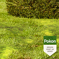 Pokon mos weg! 50m² 1,75kg