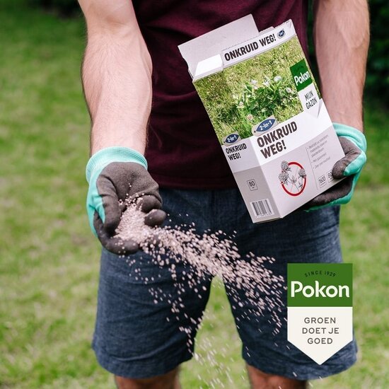 Pokon onkruid weg! 40m² 800gr