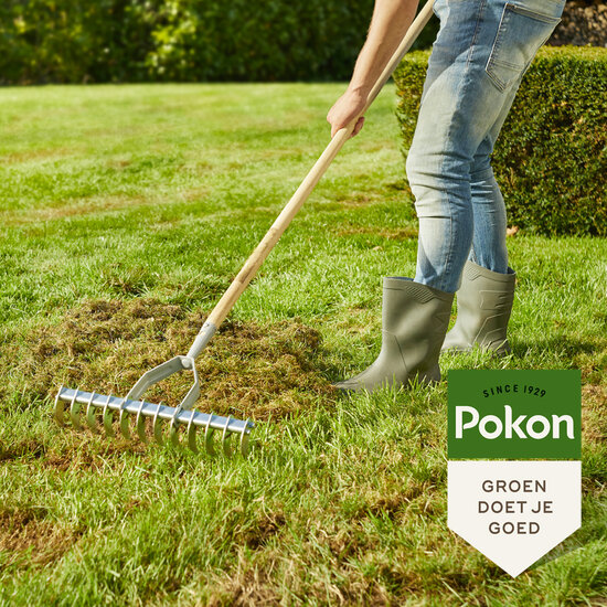 Pokon graszaad herstel 1kg