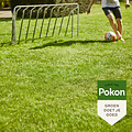 Pokon graszaad inzaai 1kg