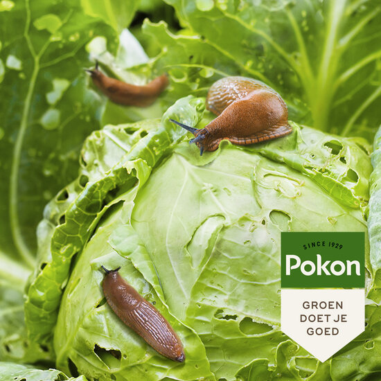 Pokon bio tegen slakken korrels 225gr