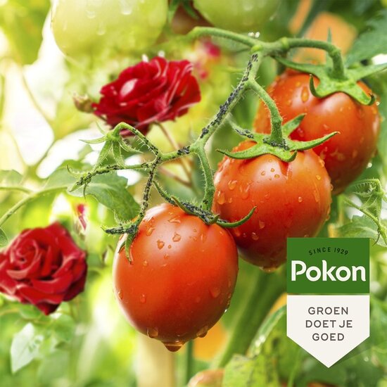 Pokon bio tegen insecten concentraat 225ml
