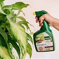 Pokon bio tegen hardnekkige insecten polysect spray 800ml