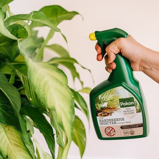 Pokon bio tegen hardnekkige insecten polysect spray 800ml