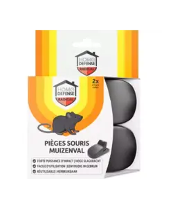 muizenval kunststof 2 stuks