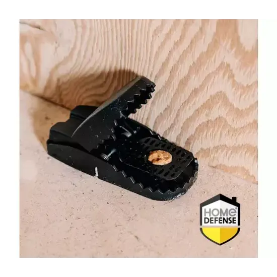 Home Defense® muizenval kunststof 2 stuks