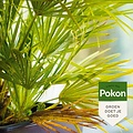 Pokon bio tegen hardnekkige insecten polysect concentraat 175ml