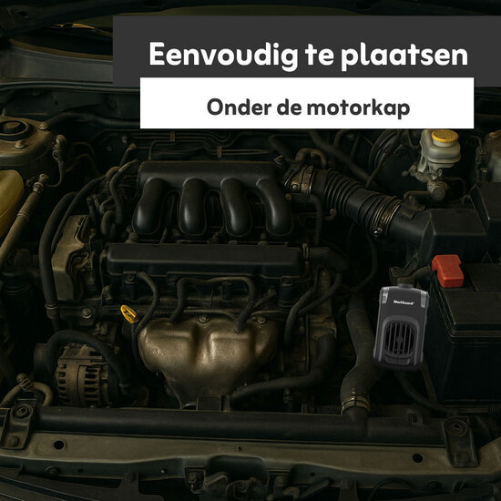 MartGuard® Car & Home Secure Pro marterverjager voor in auto en huis