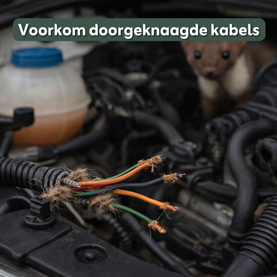 MartGuard® Anti-Marterspray 60 ml - geconcentreerd