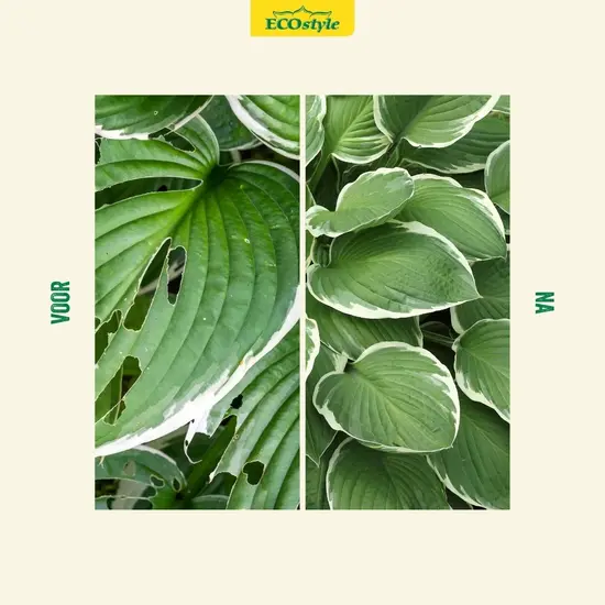 ECOstyle Happy Veggie Escar-Go 700 gram strooikoker