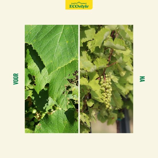 ECOstyle Plantvitaal 500 ml gebruiksklaar