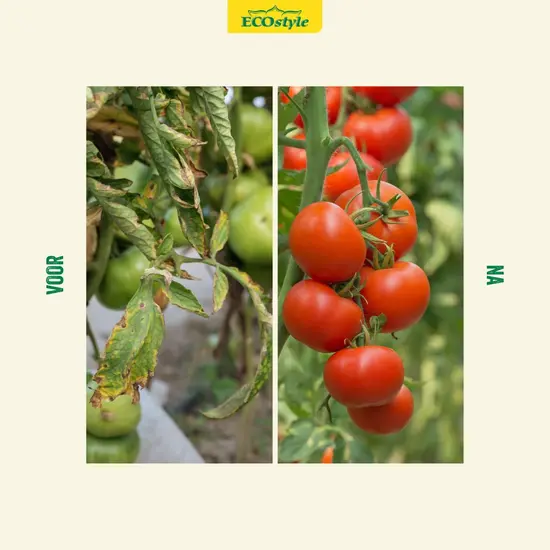 ECOstyle Moestuinmest 8 kg (100 m²)