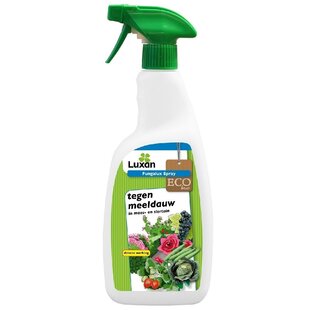 Fungalux spray tegen schimmels 750 ml