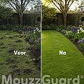 MouzzGuard® Woelmuizenval Set - 2 vallen + gangperforator