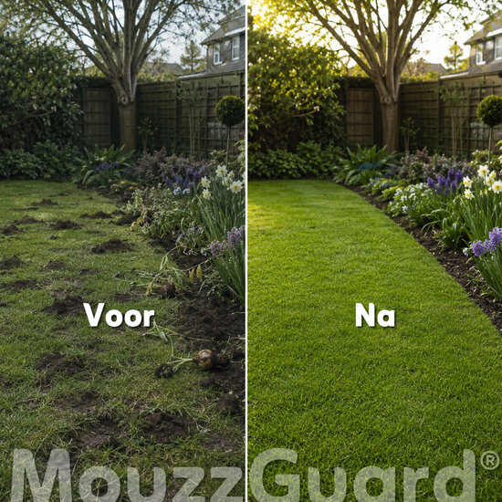 MouzzGuard® Woelmuizenval Set - 2 vallen + gangperforator