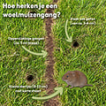 MouzzGuard® Woelmuizenval Set - 2 vallen + gangperforator