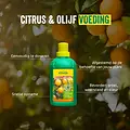 ECOstyle Citrus & Olijf voeding 1000 ml