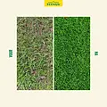 ECOstyle pH-Bodemtest (8 testen)