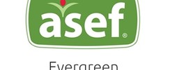 Asef Evergreen