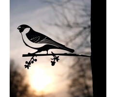 Geluksvogel Goudvink