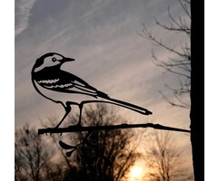 Geluksvogel Kwikstaart