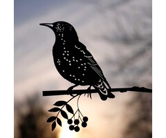 Metalen vogel Spreeuw