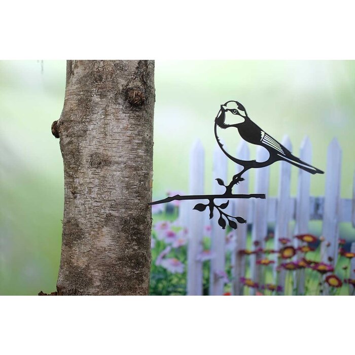 Geluksvogel Pimpelmees