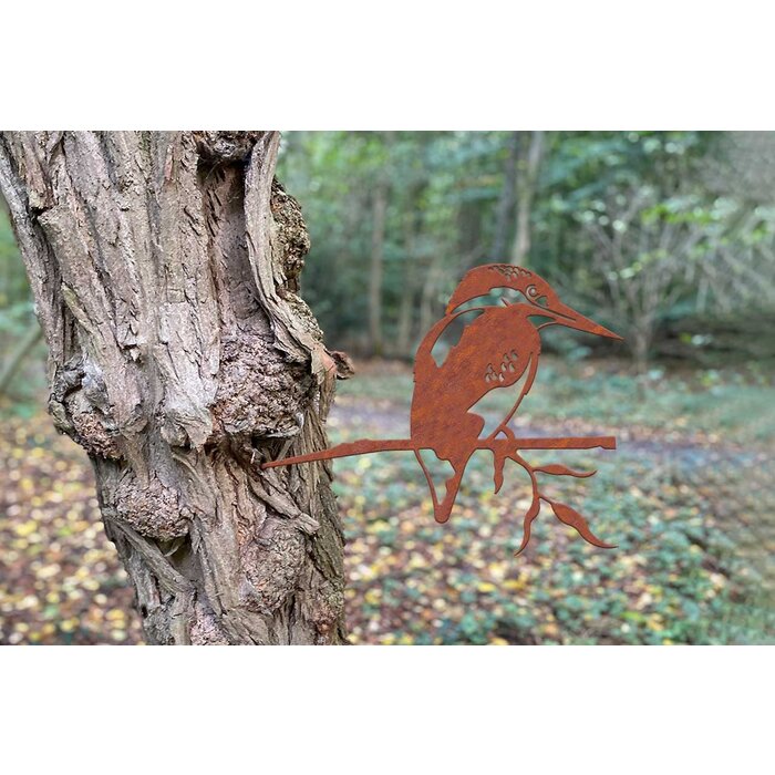 Geluksvogel IJsvogel