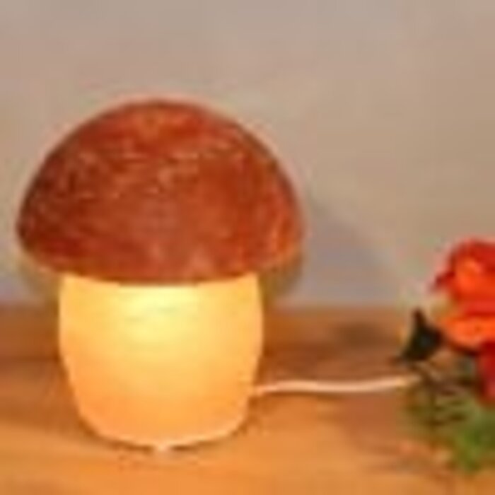 Himalaya Zoutlamp paddenstoel | Rood/Wit