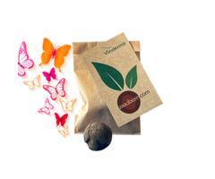 Zaadbommetje Vlindermix | 1 stuk in een zakje