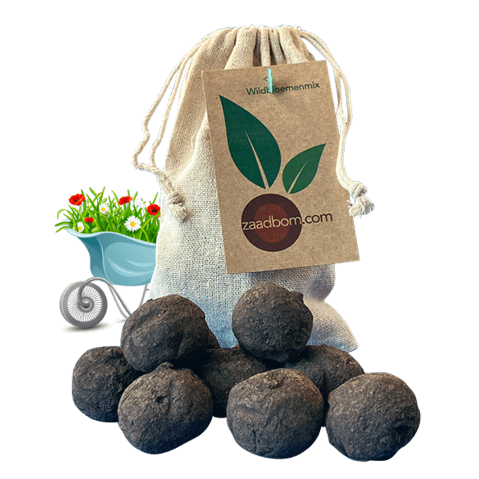 Zaadbommetjes Wildbloemenmix | 10 stuks in een zakje