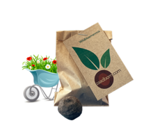 Zaadbommetje Wildbloemenmix | 1 stuk in een zakje