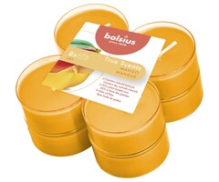 Bolsius True Scents maxilicht 8 stuks Mango