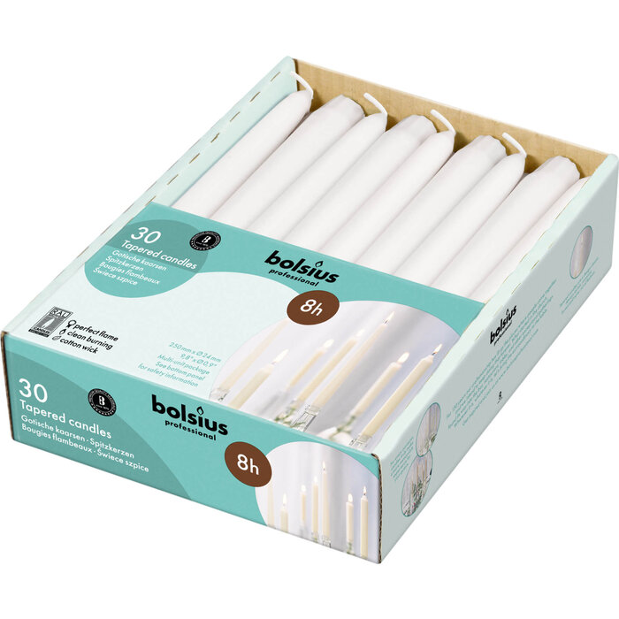 Bolsius Horeca gotische kaars 250/24 doos 30 Wit