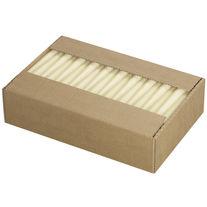 Bolsius Neutrale gotische kaars 240/23 doos 100 Ivoor