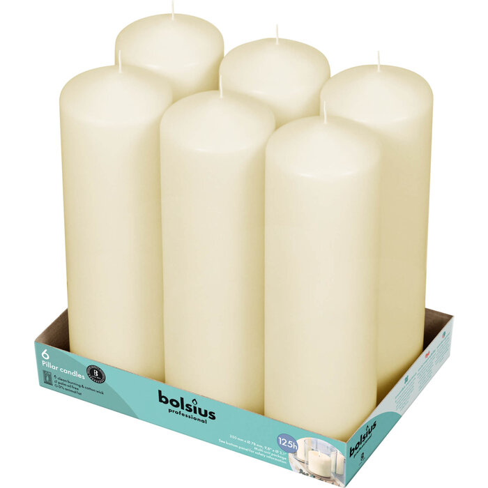 Bolsius Horeca stompkaarsen 25/8 tray 6 Ivoor