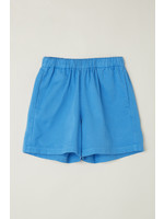 Main Story Woven Short - Mediterranean