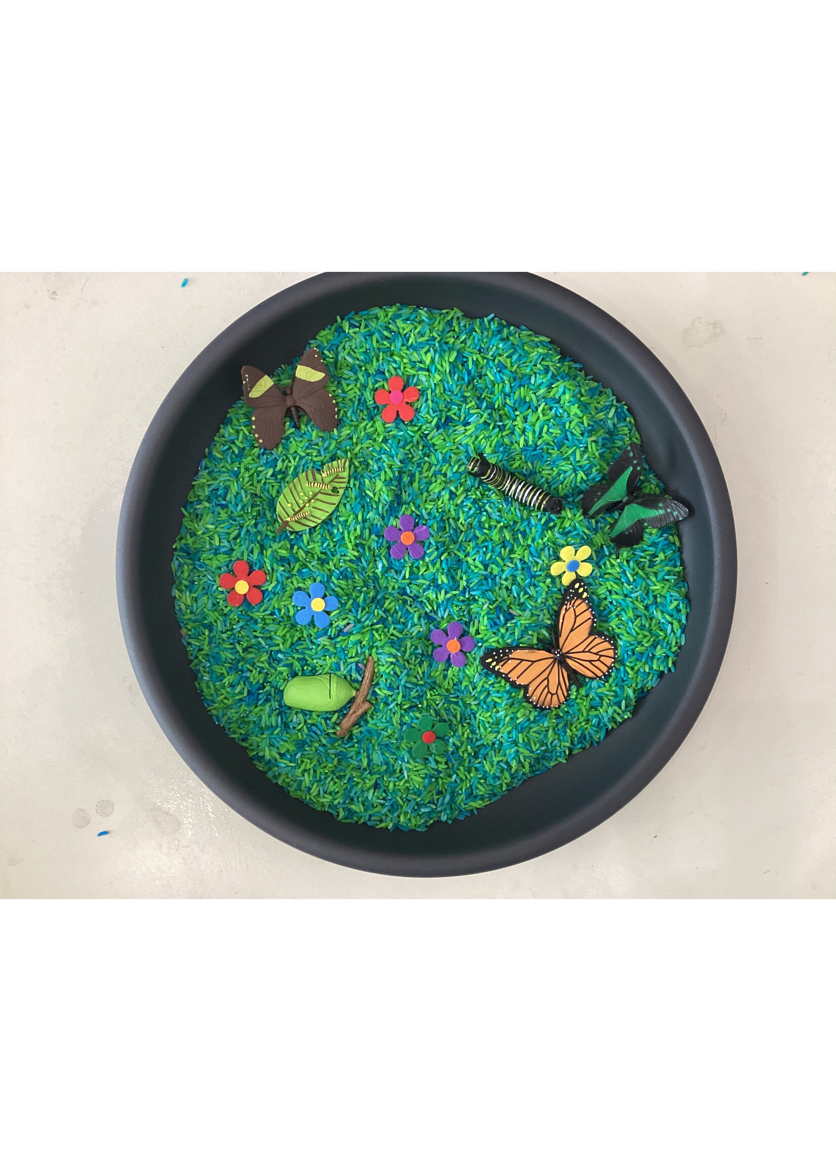 Safari Ltd. Sensory box vlinders