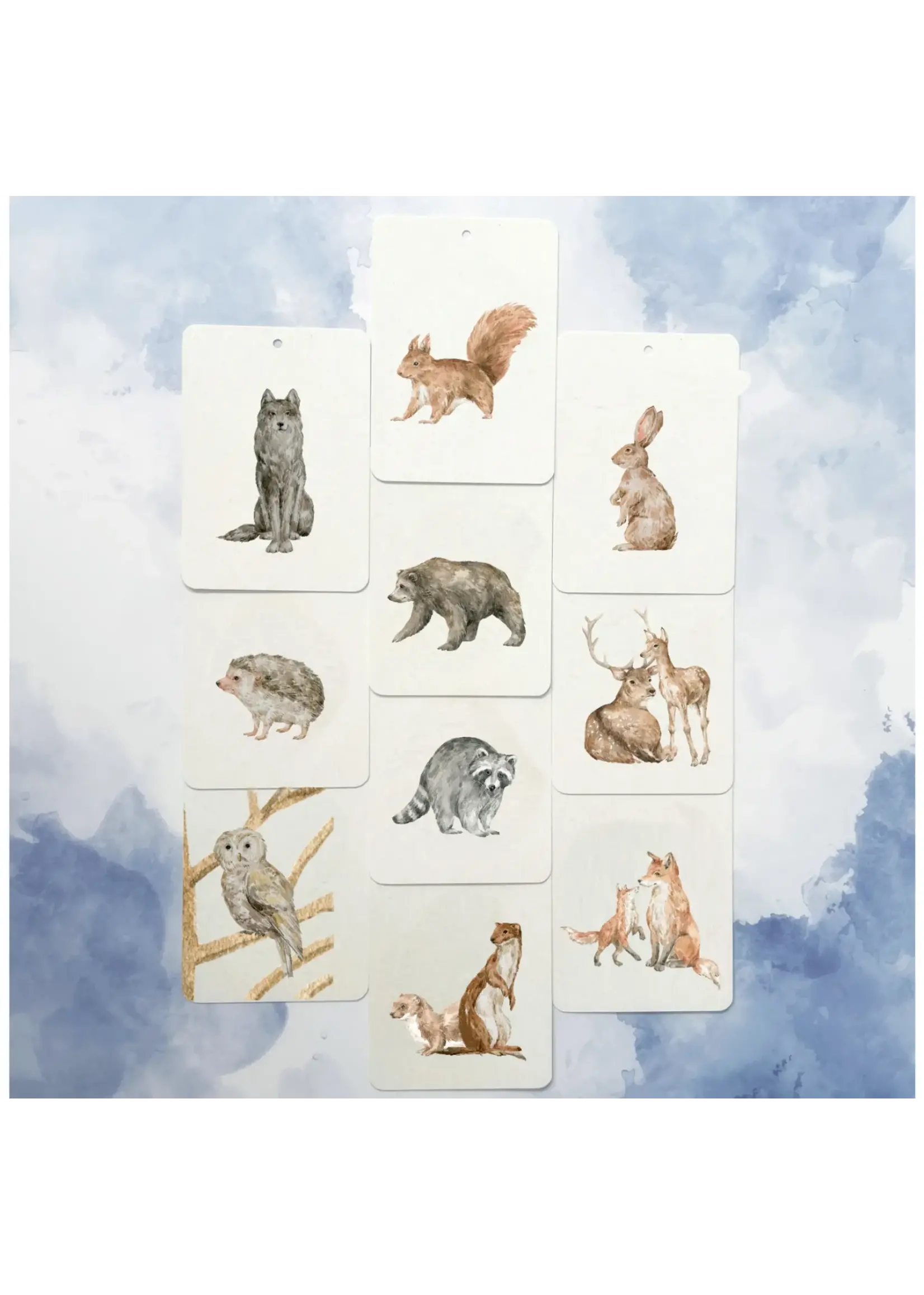 In A Flashcard Combi set Woodland Friends