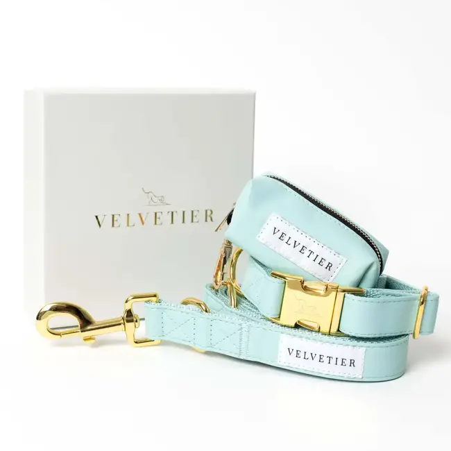 Velvetier leiband - turquoise - S/M✔️