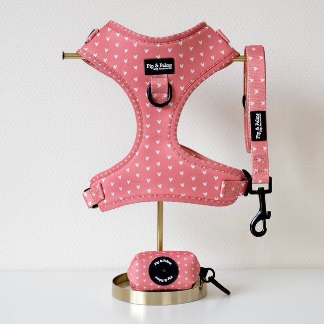 Pip & Palms Webbing leash Love is in the Air - Ready to Walk✔️