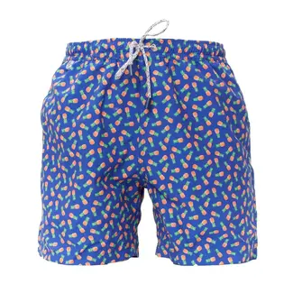 Mc Alson Zwemshort Mc Alson - Pineapple navy