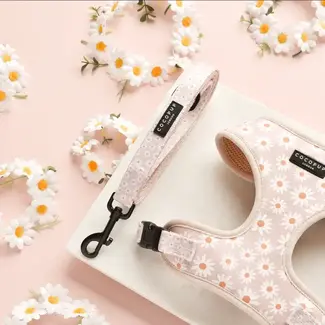 Cocopup Leiband hond - Bloem daisy - Oud roze