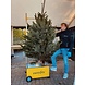 EASYFIX EASYFIX GROOT (geschikt tot 250cm boom) EASYFIX EASYFIX GROOT (geschikt tot 250cm boom)
