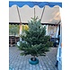 EASYFIX EASYFIX GROOT (geschikt tot 250cm boom) EASYFIX EASYFIX GROOT (geschikt tot 250cm boom)