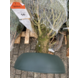 EASYFIX EASYFIX GROOT (geschikt tot 250cm boom) EASYFIX EASYFIX GROOT (geschikt tot 250cm boom)
