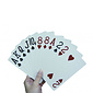 MultiMotion Extra grote spelkaarten